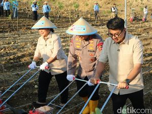 Dukung Swasembada Pangan, Polri Target Tanam Jagung 1 Juta Hektare Lahan Dukung Swasembada Pangan, Polri Target Tanam Jagung 1 Juta Hektare Lahan