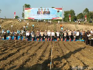 Tanam Jagung Serentak di Grobogan, Kapolri hingga Mentan Hadir Tanam Jagung Serentak di Grobogan, Kapolri hingga Mentan Hadir