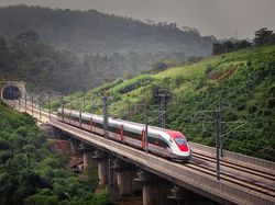 Cerita 40 Menit Terhentinya Laju Kereta Whoosh karena Biawak