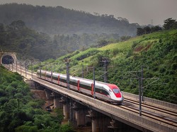 Cerita 40 Menit Terhentinya Laju Kereta Whoosh karena Biawak