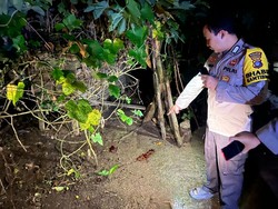 Warga Tapin Temukan Bayi Laki-laki di Halaman Rumah, Ari-ari Masih Menempel