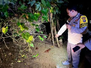 Warga Tapin Temukan Bayi Laki-laki di Halaman Rumah, Ari-ari Masih Menempel Warga Tapin Temukan Bayi Laki-laki di Halaman Rumah, Ari-ari Masih Menempel