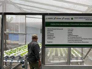 Pertamina Foundation Lestarikan Lingkungan Lewat Program Hutan Lestari