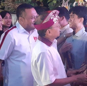 Pemerintah Provinsi Bali