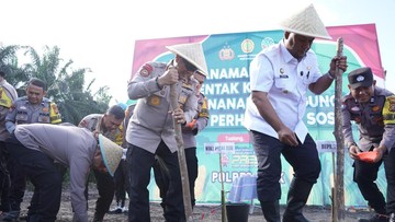 Dukung Swasembada Pangan, Polda Riau Tanam Jagung Hibrida di Siak