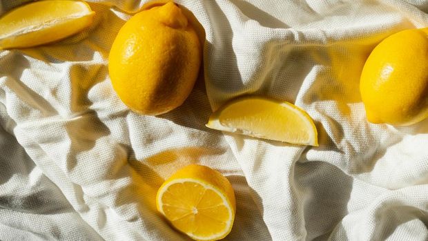 ilustrasi lemon