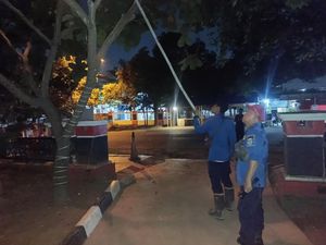 Saat Damkar Indramayu Beraksi Tangani Tawon dan Ular Saat Damkar Indramayu Beraksi Tangani Tawon dan Ular