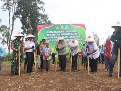 Polres Pasuruan Ajak Mahasiswa Tanam Jagung di Lahan Perhutanan Sosial
