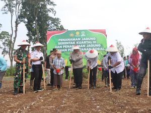 Polres Pasuruan Ajak Mahasiswa Tanam Jagung di Lahan Perhutanan Sosial Polres Pasuruan Ajak Mahasiswa Tanam Jagung di Lahan Perhutanan Sosial