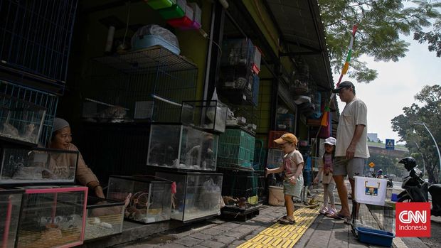 Pemerintah Kota Jakarta Selatan (Pemkot Jaksel) akan memulai sosialisasi relokasi terhadap para pedagang di Pasar Barito. Langkah ini diambil sebagai bagian dari rencana pembangunan Taman ASEAN yang akan dijadikan salah satu ikon baru Jakarta. (CNN Indonesia/Adi Ibrahim)