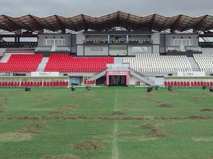 Jelang Liga Super, Bali United Renovasi Rumput Stadion Jelang Liga Super, Bali United Renovasi Rumput Stadion