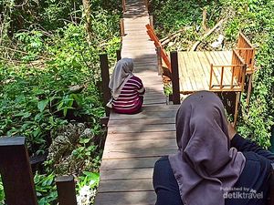 Cara Menuju Destinasi Baru di Maratua, Gua Gumantung Cara Menuju Destinasi Baru di Maratua, Gua Gumantung