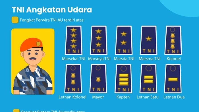 Sudah Tahu Semua? Inilah Jenjang Karir di TNI AU dari yang Terendah Sampai Tertinggi