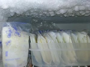 Batas Aman Simpan ASI di Freezer Menurut Ikatan Dokter Anak Batas Aman Simpan ASI di Freezer Menurut Ikatan Dokter Anak