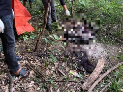 Mayat Pria Misterius Ditemukan Membusuk di Bukit Suci Gresik