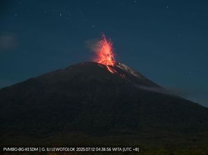 Gunung Ile Lewotolok Meletus 48 Kali Pagi Ini, Lontarkan Lava Pijar Gunung Ile Lewotolok Meletus 48 Kali Pagi Ini, Lontarkan Lava Pijar