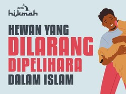 10 Hewan yang Dilarang Dipelihara dalam Islam