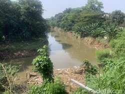 Momen Biawak Berjajar Dekat Mayat Pria Misterius di Ciliwung