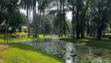 Pengunjung Minta Pengamen Ditertibkan Usai 3 Taman di Jaksel Digabung