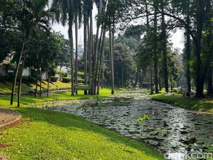 Pengunjung Minta Pengamen Ditertibkan Usai 3 Taman di Jaksel Digabung Pengunjung Minta Pengamen Ditertibkan Usai 3 Taman di Jaksel Digabung