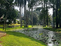 Melihat Taman Ayodya, Langsat, dan Leuser yang Akan Digabung Jadi 1 Kawasan