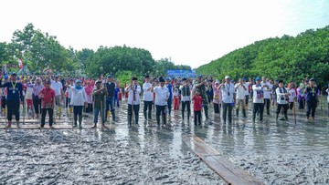 Transjakarta Tanam 15.000 Mangrove, Libatkan Masyarakat dan Mitra