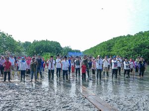 TransJakarta Tanam 15.000 Mangrove, Libatkan Masyarakat dan Mitra