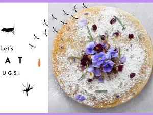 Unik Banget! Wanita Ini Buka Kafe dengan Menu Kue Serba Serangga Unik Banget! Wanita Ini Buka Kafe dengan Menu Kue Serba Serangga