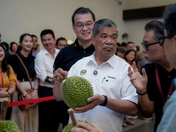 Juara Enaknya! Durian Musang King Posisi 1 World Durian Championship