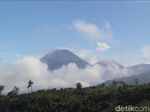 Gunung Semeru Erupsi Pagi Ini, Segini Tinggi Semburan Abu Vulkaniknya Gunung Semeru Erupsi Pagi Ini, Segini Tinggi Semburan Abu Vulkaniknya