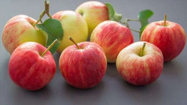 Ilustrasi buah apel dapat membakar lemak perutmu / Foto: Pexels.com / Mareefe