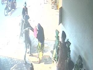 Video Detik-detik Emak-emak Lawan Pencuri Bersenpi di Lampung Video Detik-detik Emak-emak Lawan Pencuri Bersenpi di Lampung