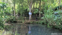 Cara Bening Saguling Atasi Masalah Sampah di Sungai Citarum