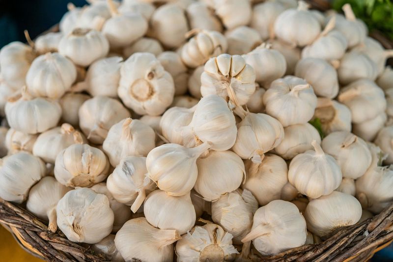 Bawang putih