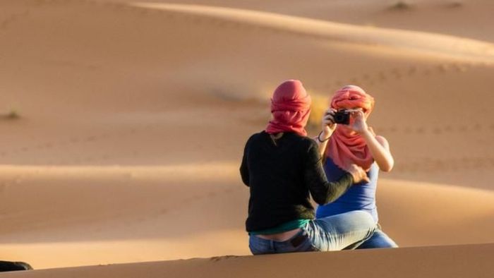 Video: Tanam Pohon di Gurun Sahara Demi Cuan, Memang Bisa?