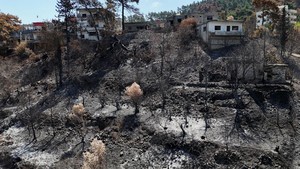 Kebakaran Hanguskan Ribuan Hektar Lahan di Latakia Suriah