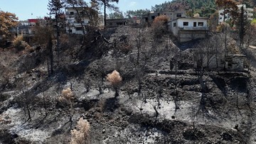 Kebakaran Hanguskan Ribuan Hektar Lahan di Latakia Suriah