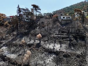 Kebakaran Hanguskan Ribuan Hektar Lahan di Latakia Suriah