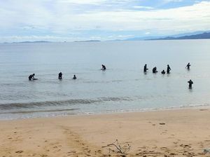 Viral Warga di Tolitoli Berburu Emas di Pantai Tinabogan Viral Warga di Tolitoli Berburu Emas di Pantai Tinabogan
