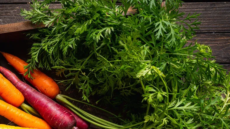 Bagian buah dan sayur yang bisa dikonsumsi
