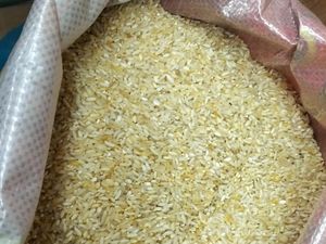 Banyak Beras Premium Jadi-jadian, Ritel Janji Bersih-bersih Rak Toko