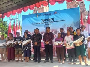 39.984 Keluarga di Buleleng Dapat Bantuan 799 Ton Beras dari Pemerintah