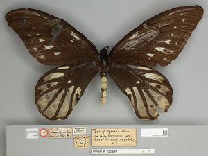 15 Fakta Random di Dunia yang Mind Blowing