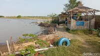 Ragam Faktor yang Sebabkan Pantai di Indramayu Lesu Saat Liburan