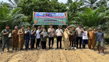 Penanaman Jagung Kuartal III di Kuansing Riau Dimulai di 3 Lokasi