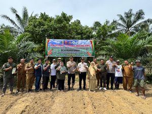 Penanaman Jagung Kuartal III di Kuansing Riau Dimulai di 3 Lokasi