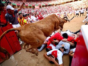 Tradisi Ekstrem San Fermin di Spanyol Bikin Turis Deg-degan Tradisi Ekstrem San Fermin di Spanyol Bikin Turis Deg-degan