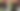 Viral macam kumbang hitam terlalu gemuk di Zoo Negara Malaysia (Tangkapan layar/ TikTok)