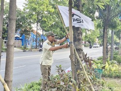 Ratusan Bendera PSI di Jalanan Solo Dicopot Satpol PP