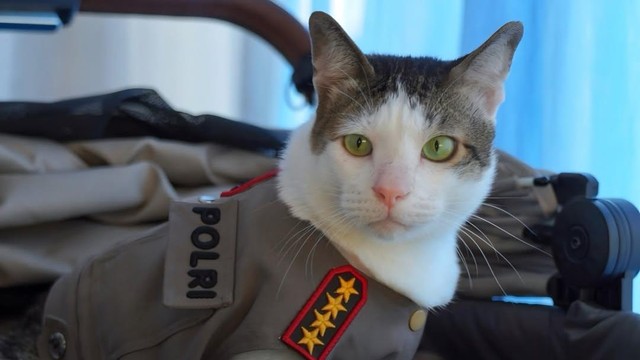 Gosip Terkini Selebriti Insertlive : Bobby Kartanegara Kucing Prabowo Dikawal Polisi, Picu Perdebatan